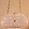Tarun Tahiliani Accessories Ivory Statement Jaal Bag -Inca Sales Store 71123tta6 1
