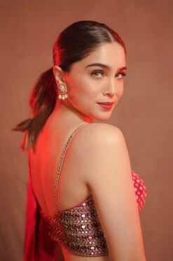 Punit Balana Rani Pink Embroidered Sari Set 10 Punit Balana Rani Pink Embroidered Sari Set -Inca Sales Store 711pb8 4