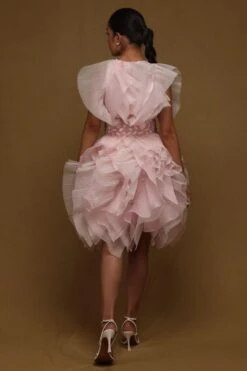 Shriya Som Pink Textured Ruffle Dress -Inca Sales Store 8523ss7 3