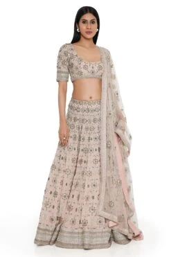 Payal Singhal Rose Pink Georgette Embroidered Lehenga Set