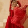 Bhumika Sharma Red Organza Pleated Lehenga Set -Inca Sales Store 911bs17 1 1