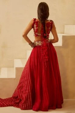 Bhumika Sharma Red Organza Pleated Lehenga Set -Inca Sales Store 911bs17 5 1
