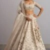 Anushree Reddy Ivory Organza Lehenga Set
