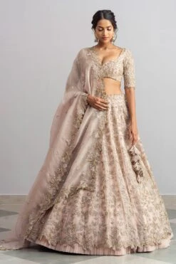 Anushree Reddy Champagne Organza Lehenga Set