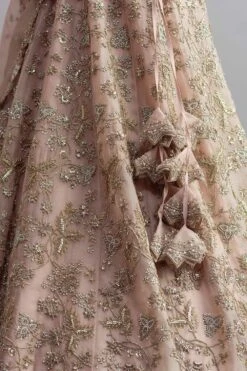 Anushree Reddy Champagne Organza Lehenga Set -Inca Sales Store ar005 4