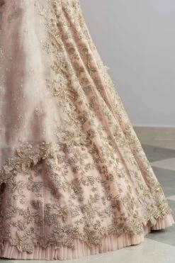 Anushree Reddy Champagne Organza Lehenga Set -Inca Sales Store ar005 5