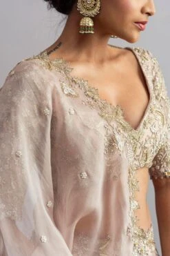 Anushree Reddy Champagne Organza Lehenga Set -Inca Sales Store ar005 6