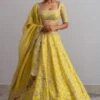 Anushree Reddy Lemon Yellow Organza Lehenga Set 2 Anushree Reddy Lemon Yellow Organza Lehenga Set -Inca Sales Store ar013 1 1