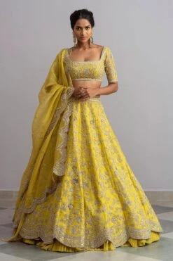 Anushree Reddy Lemon Yellow Organza Lehenga Set