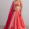 Anushree Reddy Flame Red Raw Silk Lehenga Set