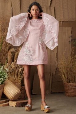 Shriya Som Pink Organza Embroidered Mini Dress