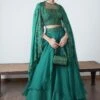 Ahilian Green Organza Embellished Lehenga Set