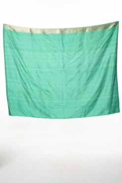 Kshitij Jalori Green Silk Brocade Sari -Inca Sales Store kj 1111kj7 5