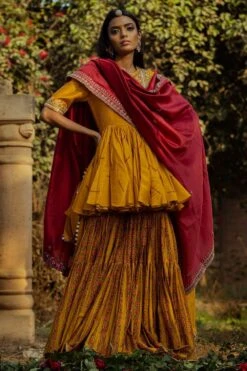 Punit Balana Dori Work Peplum Gharara Set