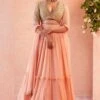 Ridhi Mehra Two Tiered Peach Lehenga Set -Inca Sales Store rmdl 18 1 1