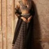 Ridhi Mehra Ikat Printed Lehenga Set With Embroidered Blouse
