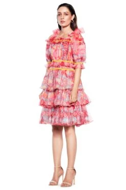 Siddhartha Bansal Light Pink Organza Marble Print Dress -Inca Sales Store sb odsy 067 2