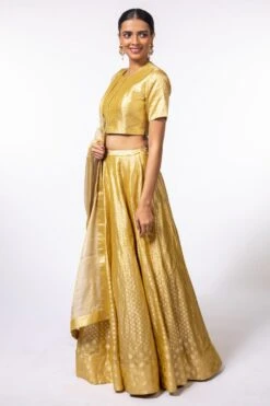 Hemang Agrawal Golden Brocade Blouse -Inca Sales Store sku 311 2