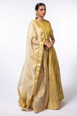 Hemang Agrawal Golden Brocade Blouse -Inca Sales Store sku 311 3