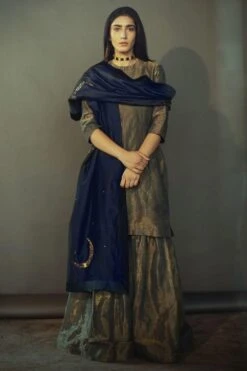 Shorshe Navy Chanderi Stole With Zardosi Embroidery